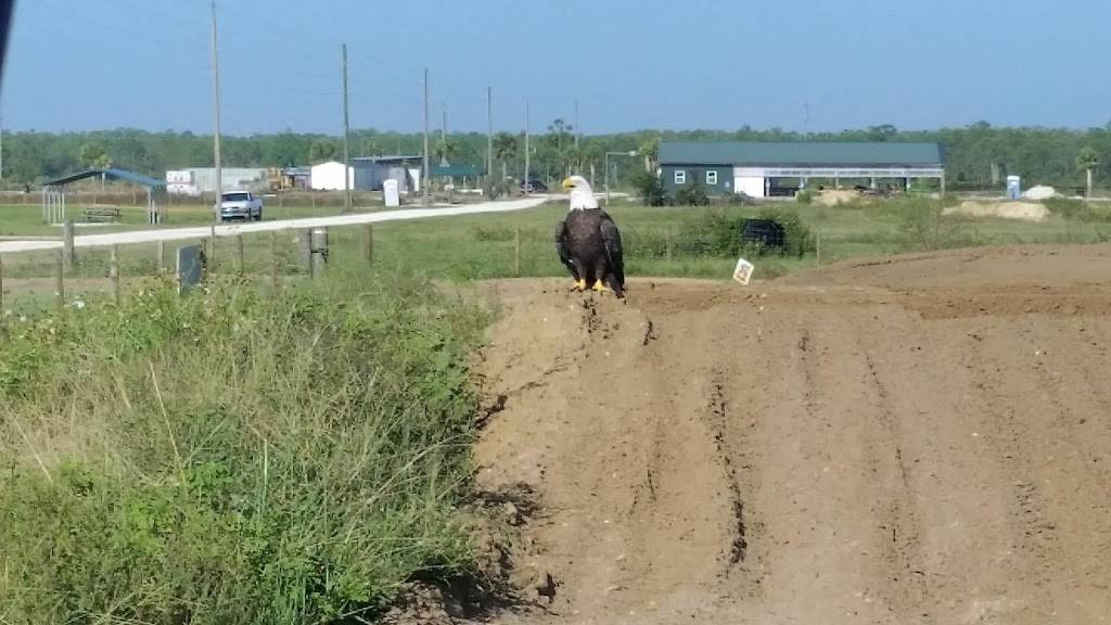 74MX and Offroad | restaurant | 44800 Bermont Rd, Punta Gorda, FL 33982, USA | 9418758944 OR +1 941-875-8944