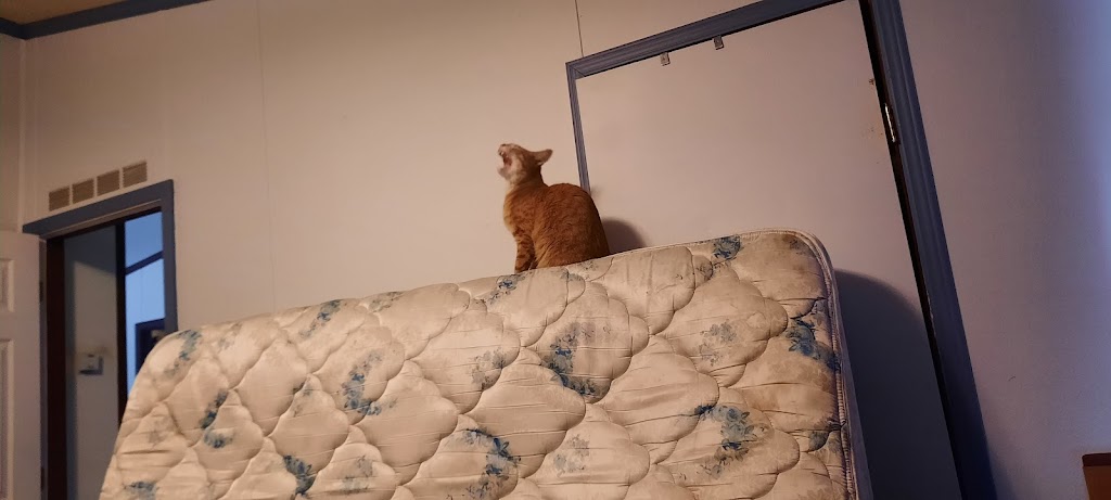 Taco Johns | restaurant | 5007 US-16, Newcastle, WY 82701, USA | 3077462002 OR +1 307-746-2002