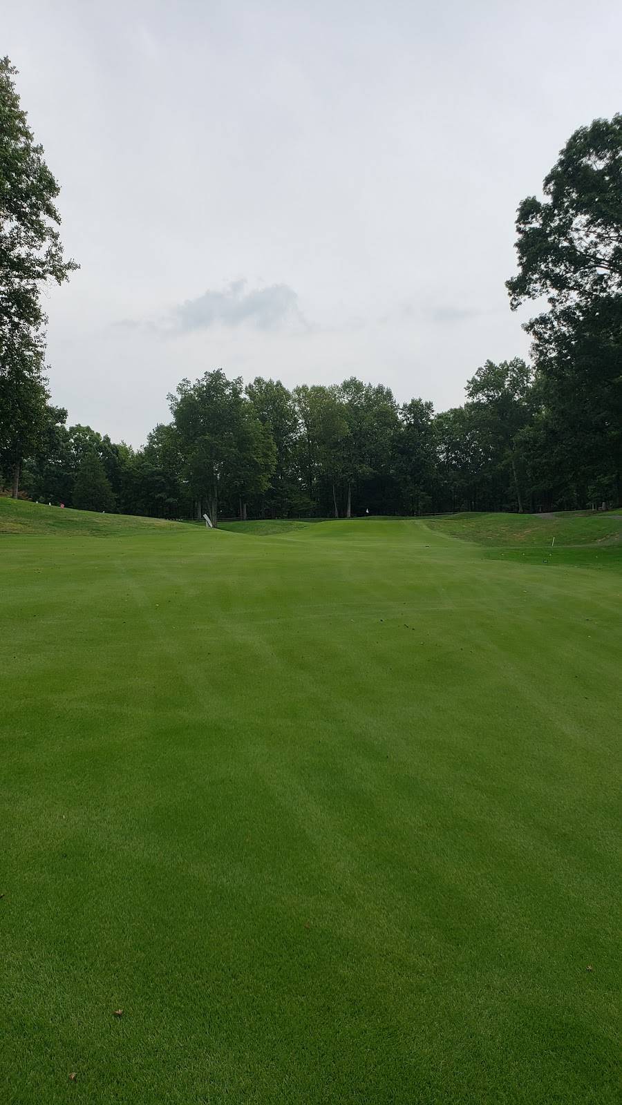 The Waterfront Country Club | restaurant | 275 Anchor Dr, Moneta, VA 24121, USA | 5407212397 OR +1 540-721-2397