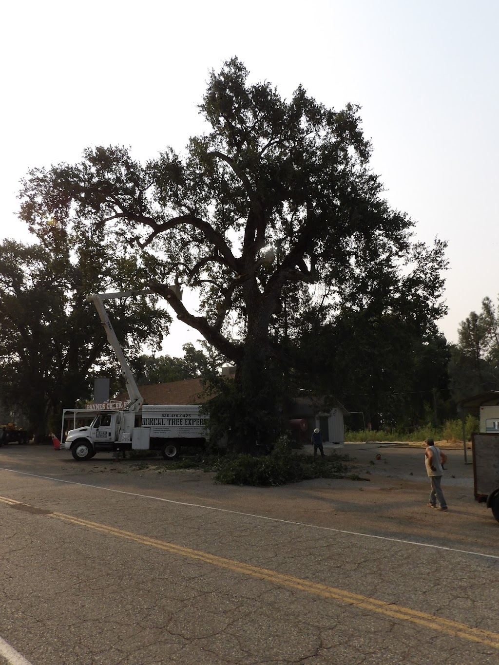 Original Paynes Creek Store and Tavern | restaurant | 29791 Paynes Creek Loop, Paynes Creek, CA 96075, USA | 5305972296 OR +1 530-597-2296