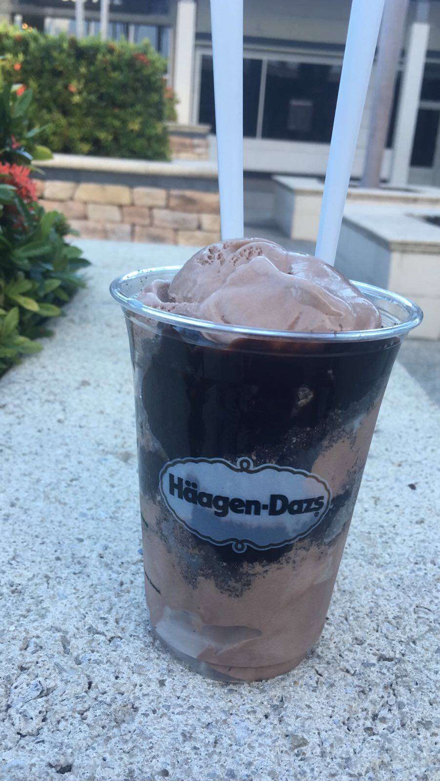 Häagen-Dazs | restaurant | 8888 SW 136th St, Miami, FL 33176, USA | 3052788808 OR +1 305-278-8808
