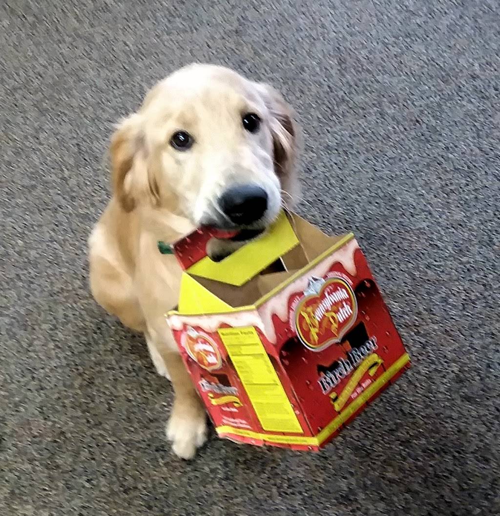 The Pop Place Store | restaurant | 2197, 213 E Main St, Mt Horeb, WI 53572, USA | 6084258101 OR +1 608-425-8101