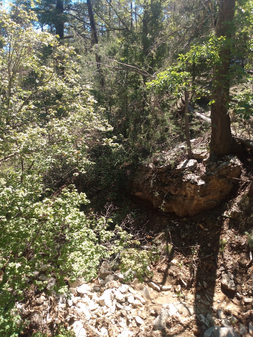 Queens RV Park and Restaurant | restaurant | 3670 Queens Hwy, Carlsbad, NM 88220, USA | 3255139338 OR +1 325-513-9338