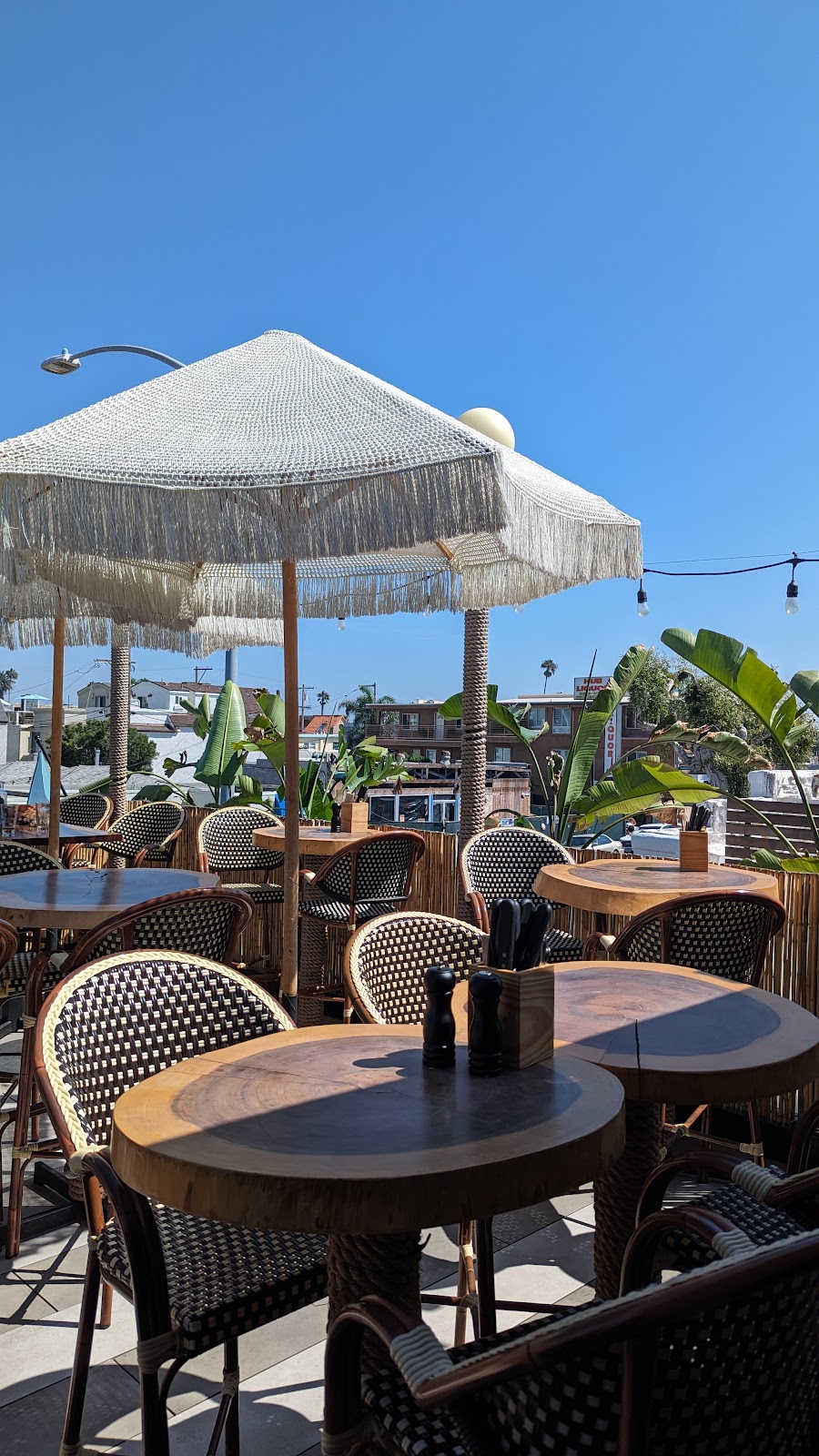 Mollys | restaurant | 3770 Mission Blvd, San Diego, CA 92109, USA | 8583016313 OR +1 858-301-6313