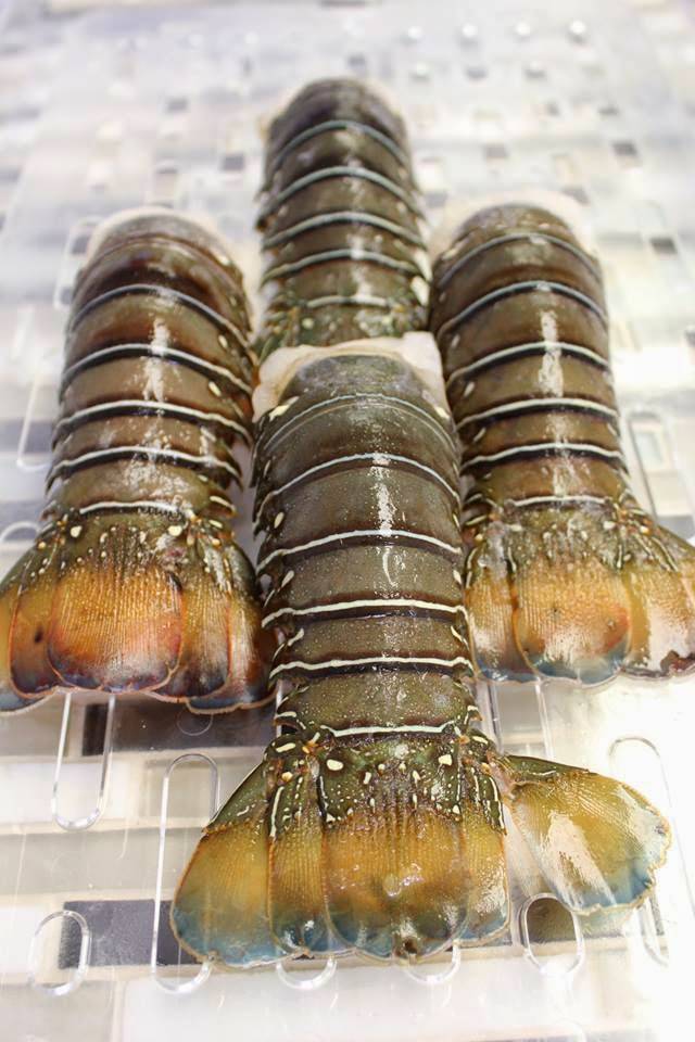 Key West Shrimp Company | restaurant | 7217 Gulf Blvd, St Pete Beach, FL 33706, USA | 7278733913 OR +1 727-873-3913