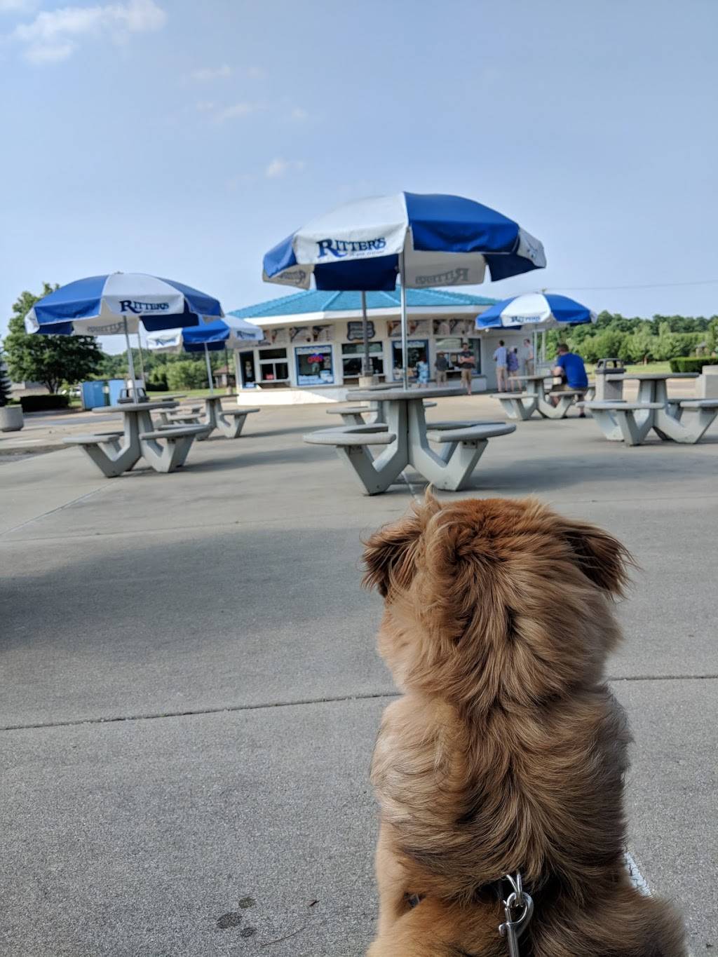 Ritters Frozen Custard Brighton | restaurant | 5962 Meridian Blvd, Brighton, MI 48116, USA | 8102296992 OR +1 810-229-6992