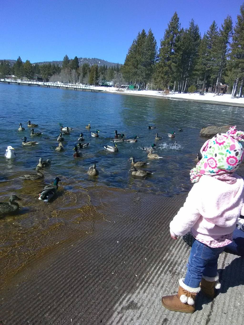 Tacos Jalisco | restaurant | 8717 N Lake Blvd, Kings Beach, CA 96143, USA | 5305463256 OR +1 530-546-3256