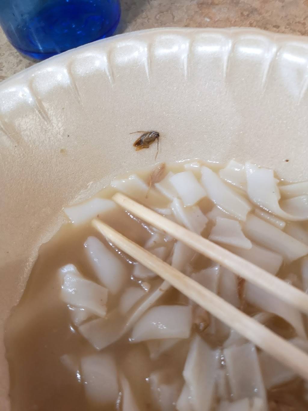 Jasmine Chinese Food | restaurant | 2900 Warden Ave #240, Scarborough, ON M1W 2S8, Canada | 4164928833 OR +1 416-492-8833