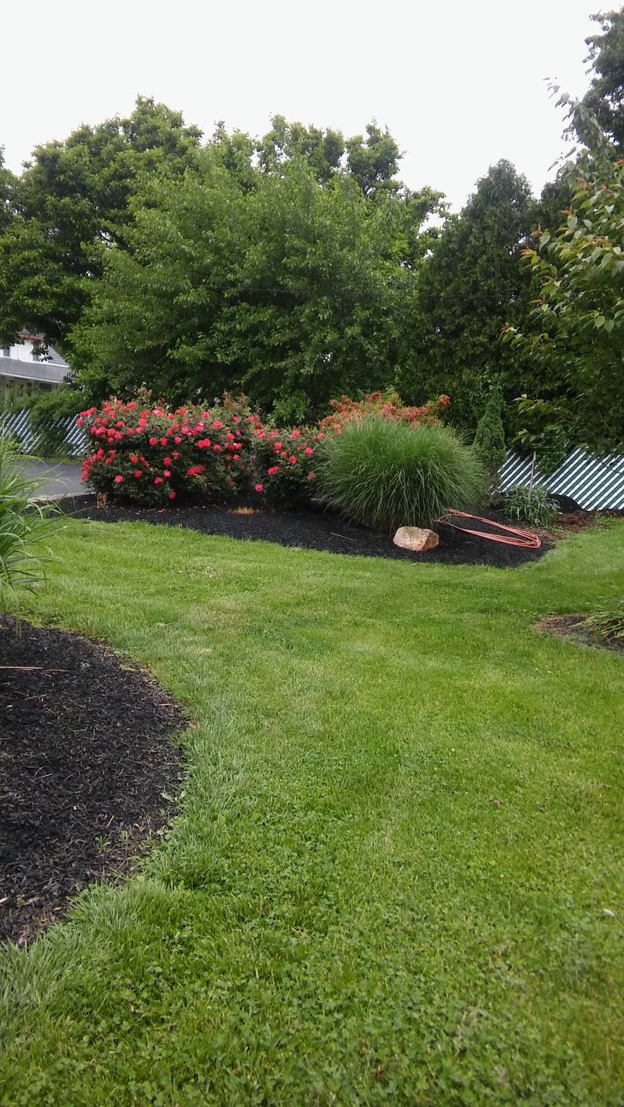 Norma Js Restaurant | restaurant | 2717 PA-309, Orefield, PA 18069, USA | 6103953664 OR +1 610-395-3664