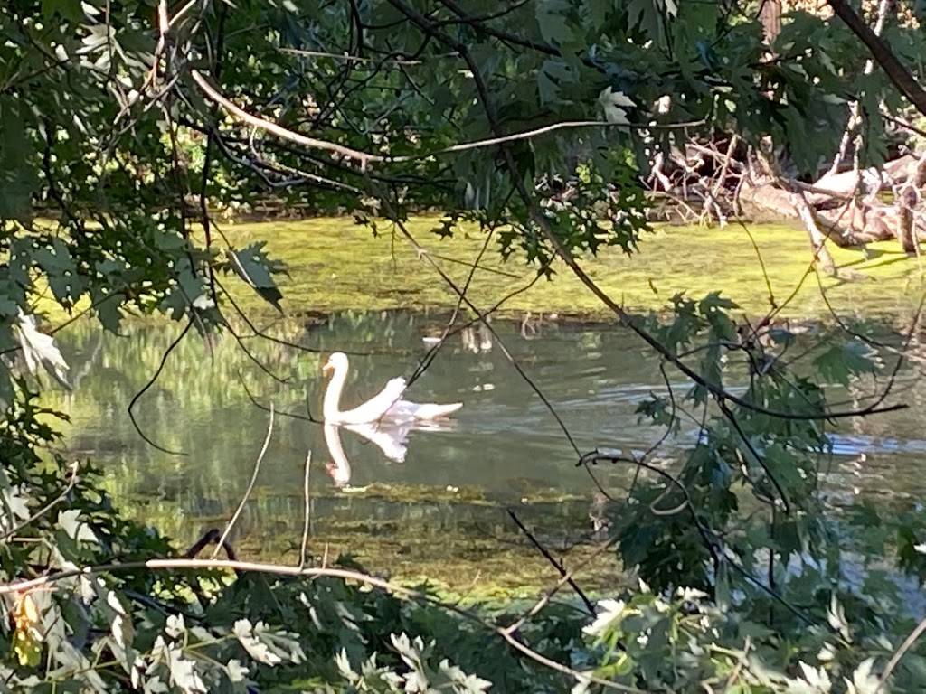 Starbucks | cafe | 2151 Mystic Valley Pkwy, Medford, MA 02155, USA | 7813963630 OR +1 781-396-3630