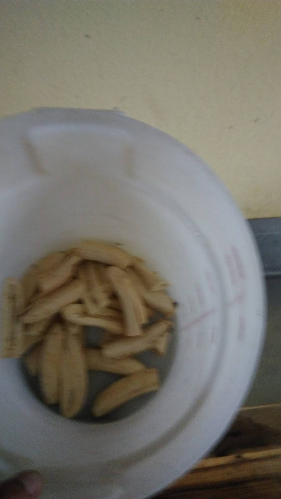 El Jobito | restaurant | 1579 St Nicholas Ave, New York, NY 10040, USA | 6465902495 OR +1 646-590-2495