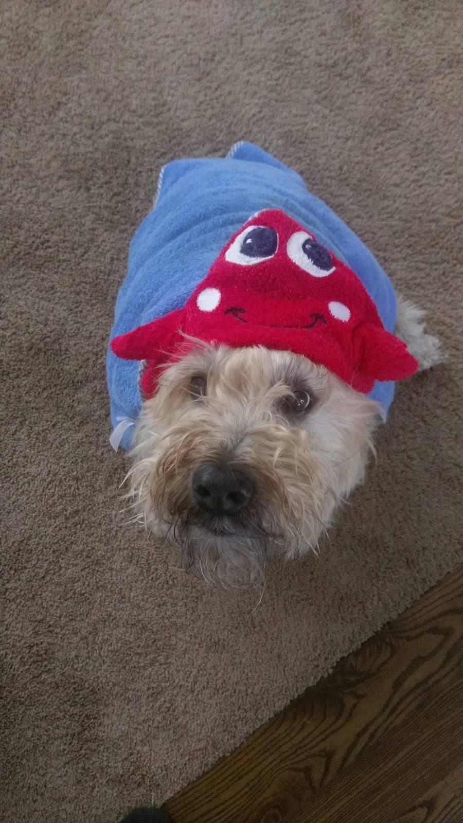 Panda Express | restaurant | 11996 S Strang Line Rd, Olathe, KS 66062, USA | 9133908360 OR +1 913-390-8360