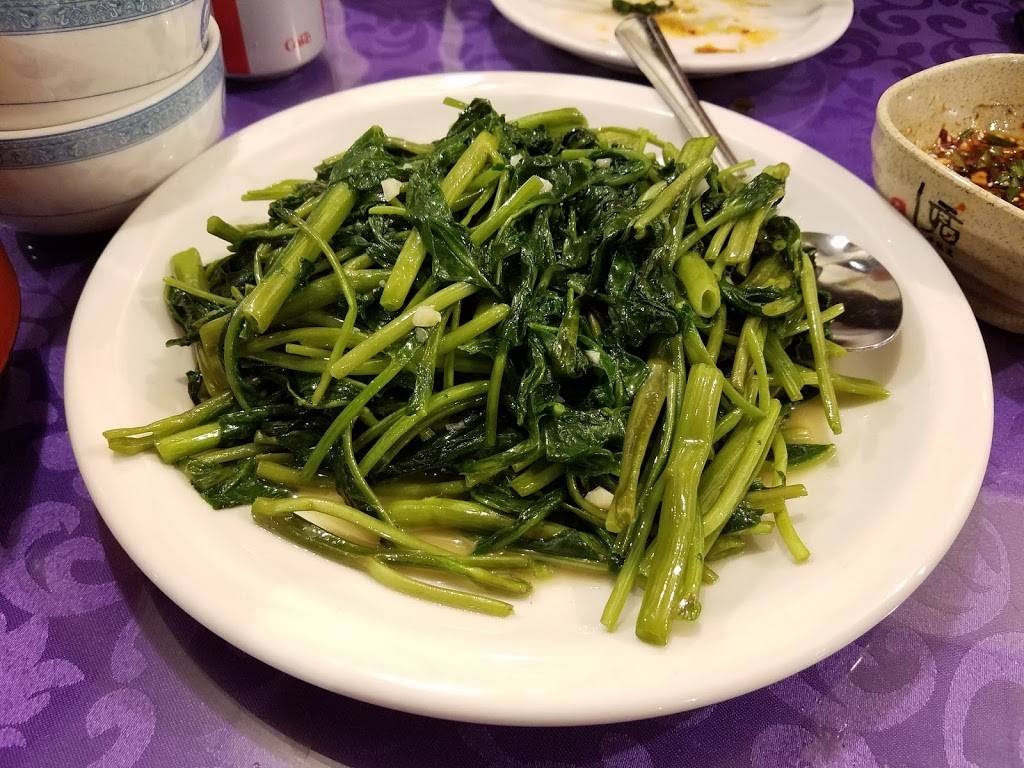 Szechuan Tasty House | restaurant | 1000 W Evans Ave, Denver, CO 80223, USA | 3039550069 OR +1 303-955-0069