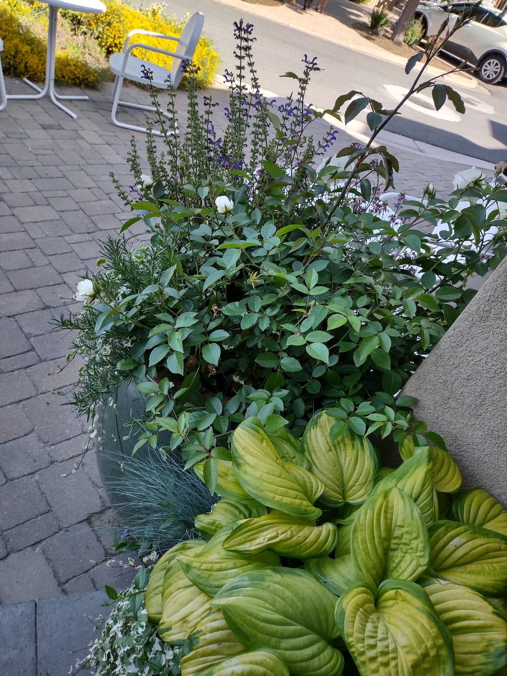 Claio Rotisserie | restaurant | 3886 Mayberry Dr Suite D, Reno, NV 89519, USA | 7756578554 OR +1 775-657-8554