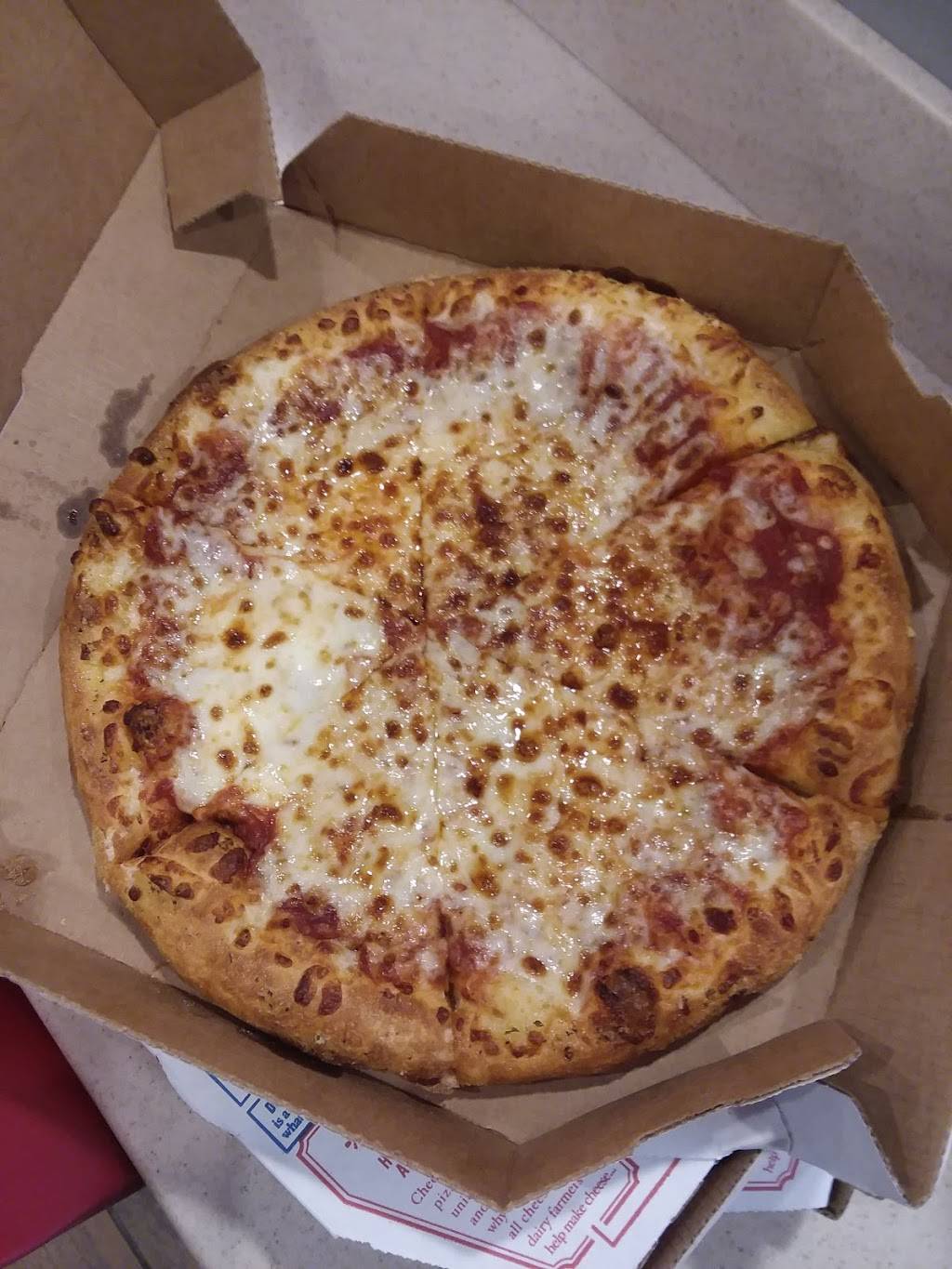 Dominos Pizza | meal delivery | 3509 US-84, Blackshear, GA 31516, USA | 9128078700 OR +1 912-807-8700