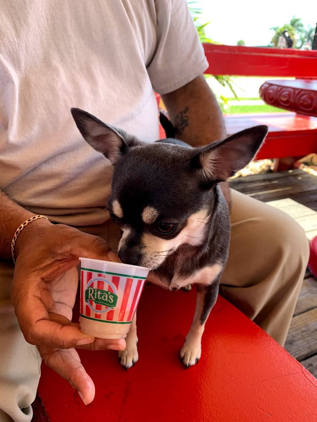 Ritas Italian Ice & Frozen Custard | restaurant | 620 W New Haven Ave, Melbourne, FL 32901, USA | 3215865818 OR +1 321-586-5818