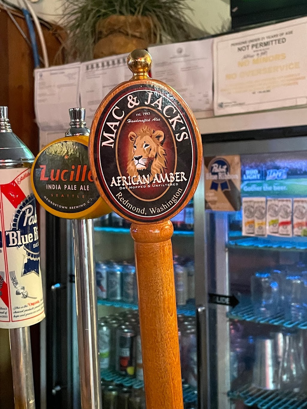 Kodis Noon Saloon | restaurant | 154 Pateros Mall, Pateros, WA 98846, USA | 5099239767 OR +1 509-923-9767