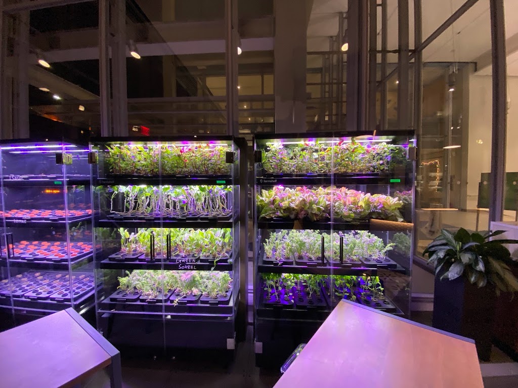 Oliva Tapas Españolas | restaurant | 3229 Broadway, New York, NY 10027, USA | 9175229830 OR +1 917-522-9830