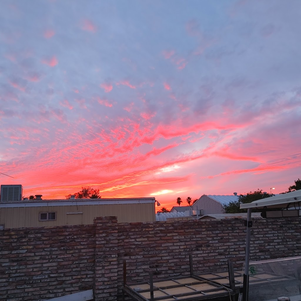 Fat Daddys Grill | restaurant | 11638 S Foothills Blvd, Yuma, AZ 85367, USA | 6194542246 OR +1 619-454-2246