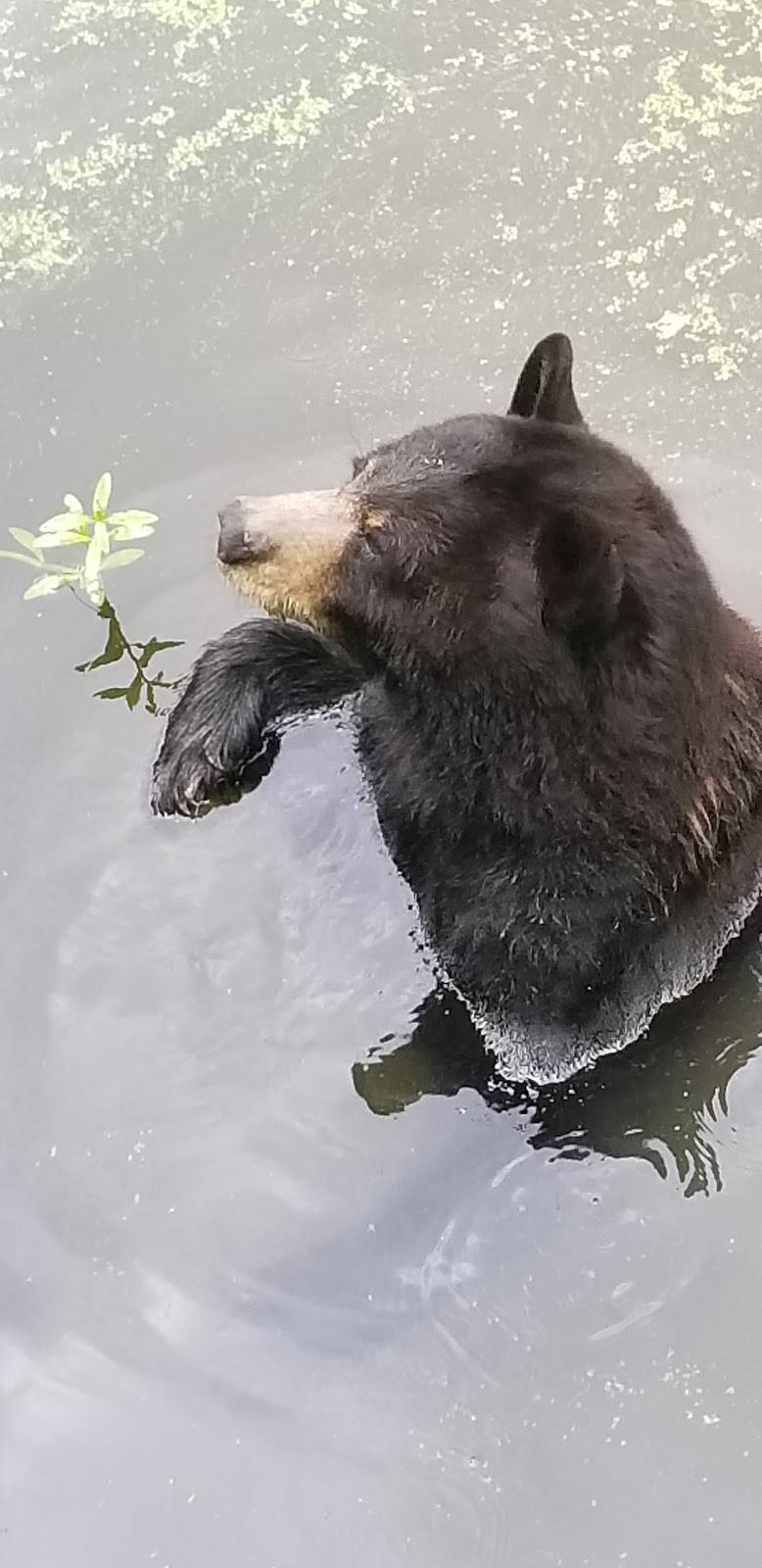 Cypress Knee Cafe | restaurant | 6500 Magazine St, New Orleans, LA 70118, USA | 5045814629 OR +1 504-581-4629