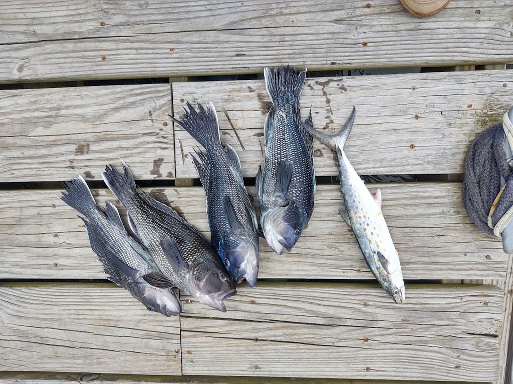 Wanchese Marina Llc | restaurant | 4457 Mill Landing Rd, Wanchese, NC 27981, USA | 2524733247 OR +1 252-473-3247