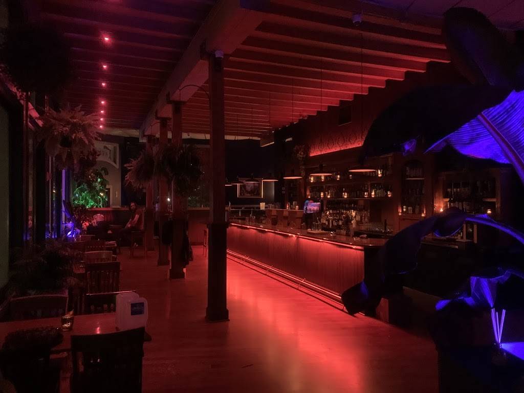 Dreamland Bar & Diner | restaurant | 3401 Evanston Ave N, Seattle, WA 98103, USA | 2064024902 OR +1 206-402-4902