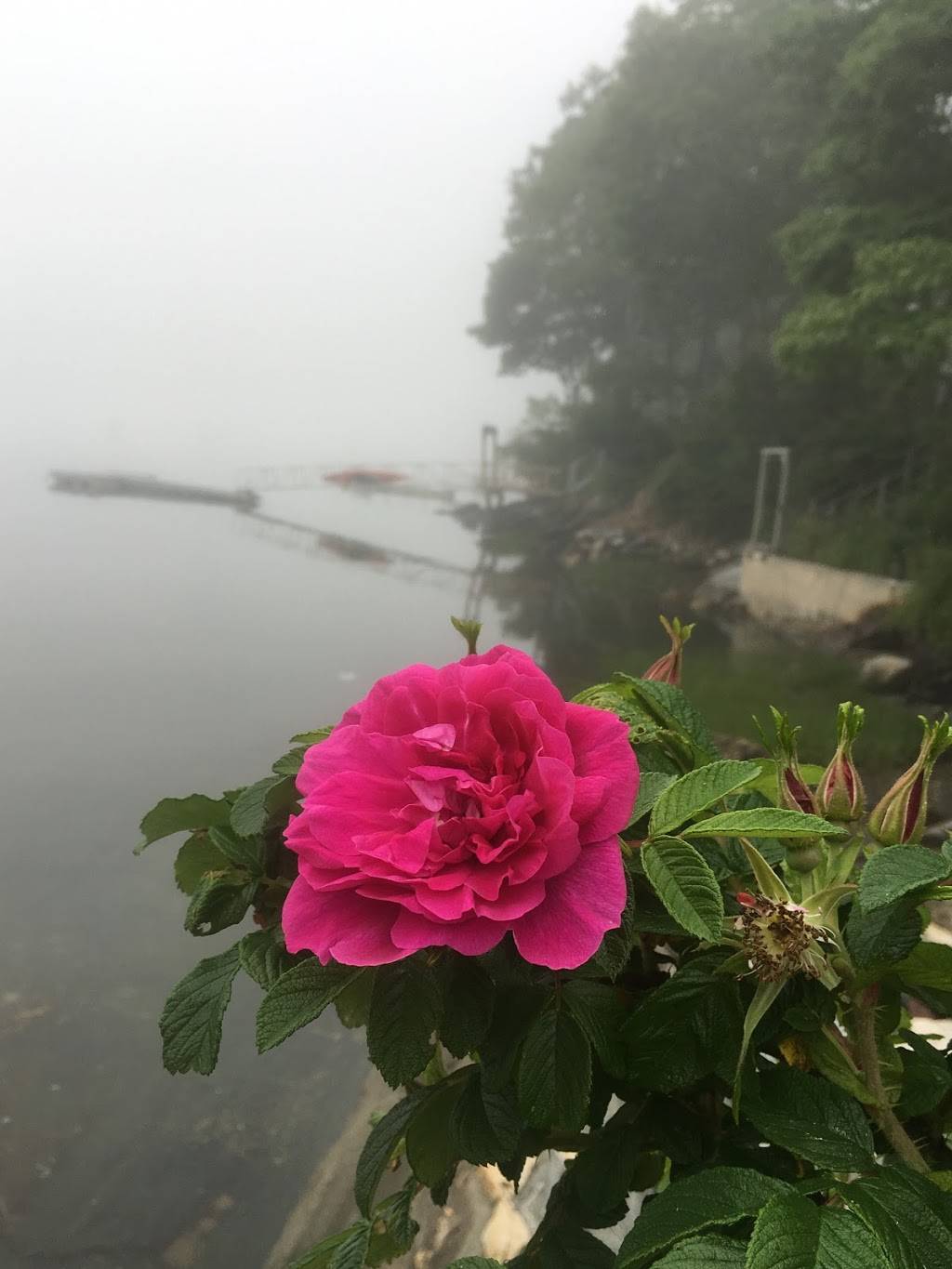 Pauls Marina | restaurant | 36 Eastern Shore Rd, Brunswick, ME 04011, USA | 2077293067 OR +1 207-729-3067