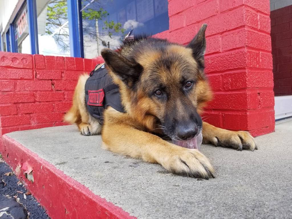 Dairy Queen | restaurant | 6760 N Dixie Dr Hwy, Dayton, OH 45414, USA | 9378901711 OR +1 937-890-1711