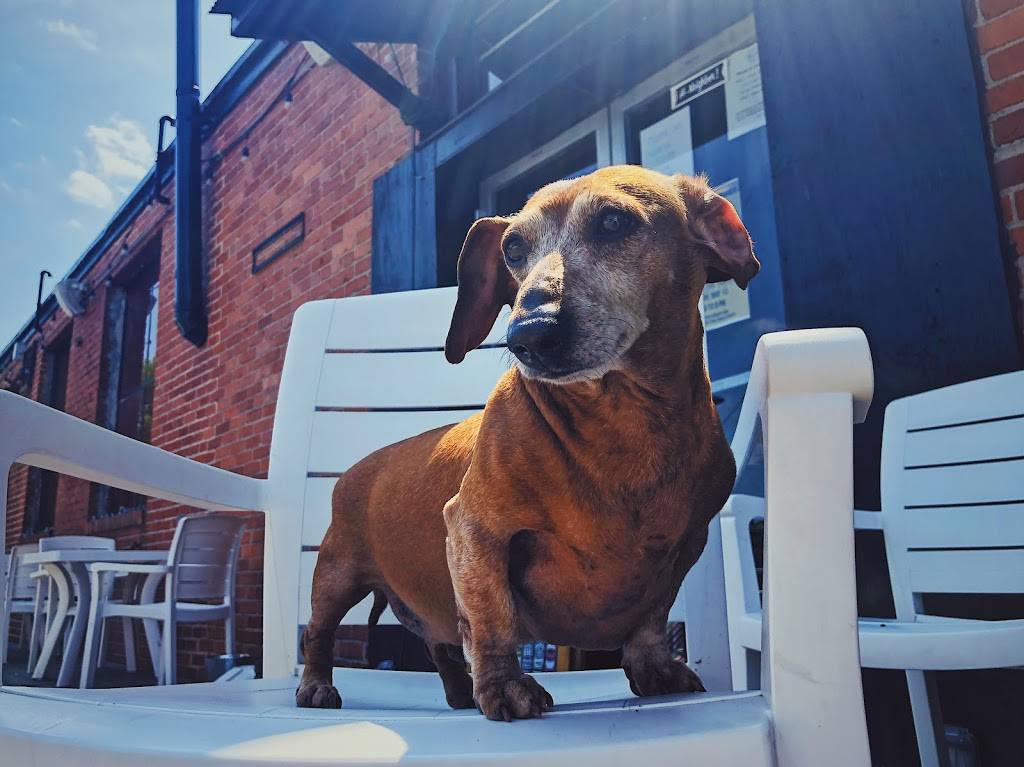 Blue Side Tavern | restaurant | 6 S Bentz St, Frederick, MD 21701, USA | 3016630200 OR +1 301-663-0200