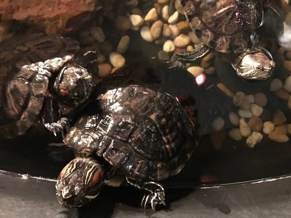 Miyako Japanese Restaurant and Sushi Bar | restaurant | 4601 Washington Ave Suite 150, Houston, TX 77007, USA | 7135209797 OR +1 713-520-9797