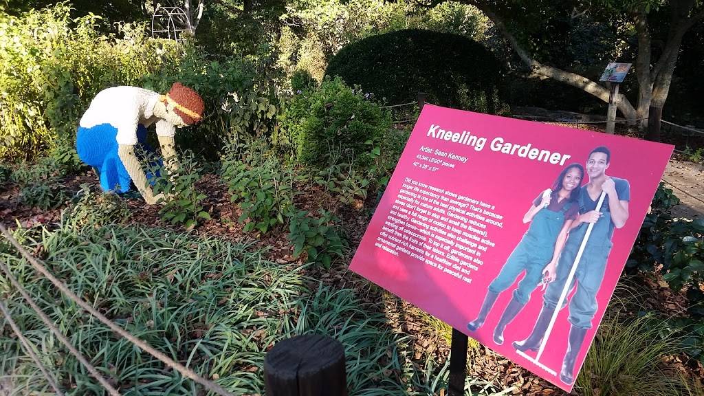 The Savory Way Café | cafe | 1550 Hendersonville Rd, Asheville, NC 28803, USA | 8283332334 OR +1 828-333-2334