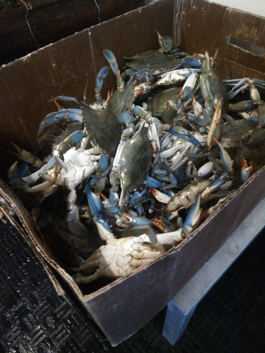 Capital Seafood-Market | restaurant | 676 Maywood Ave, Raleigh, NC 27603, USA | 9198381300 OR +1 919-838-1300