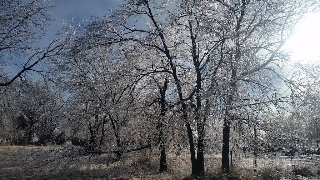 Mencl Tavern | restaurant | 200 4th St, Virginia, NE 68458, USA | 4026884286 OR +1 402-688-4286