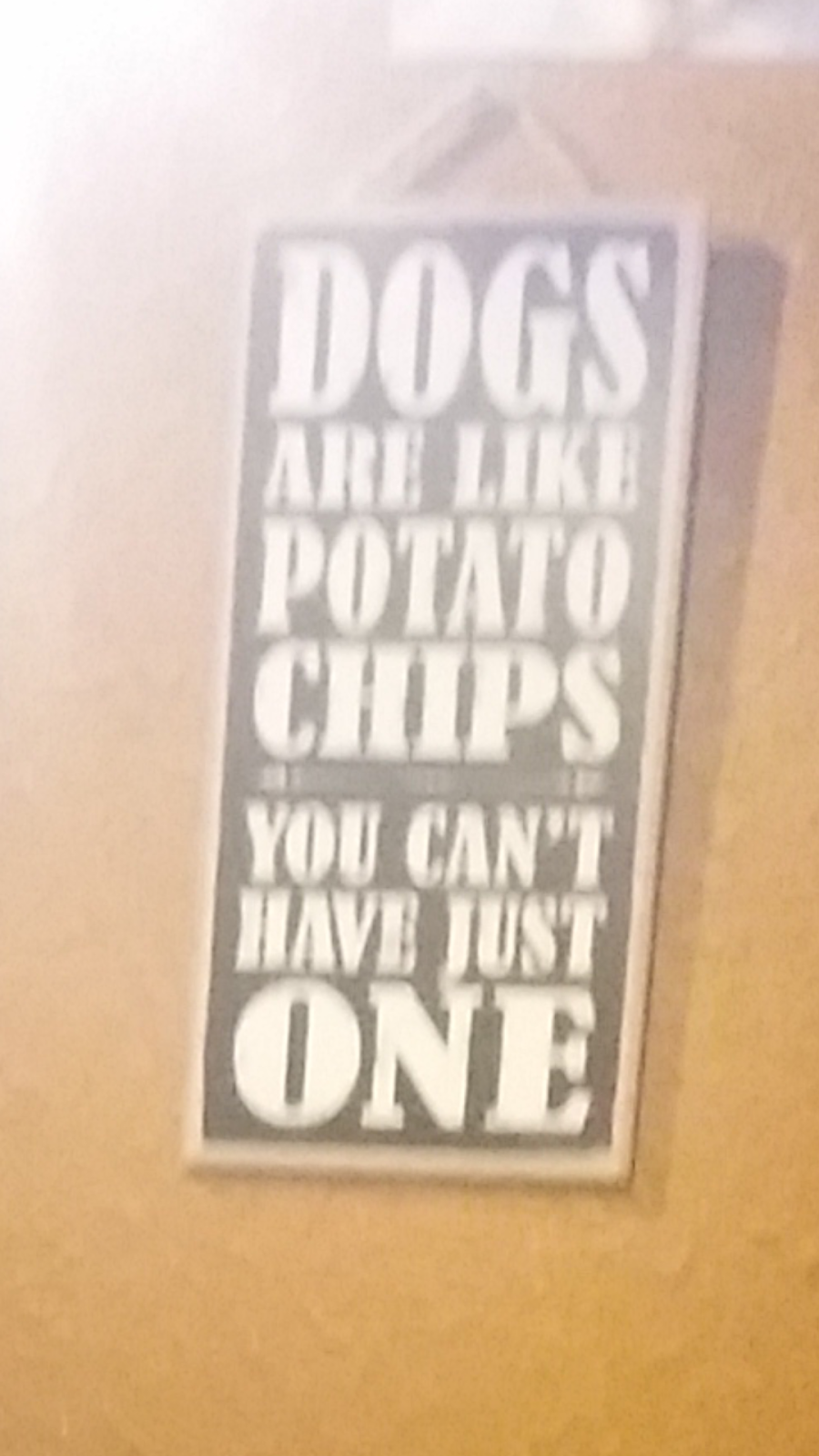 Johnnys Asian Bistro | restaurant | 10471 S Parker Rd, Parker, CO 80134, USA | 3038418877 OR +1 303-841-8877