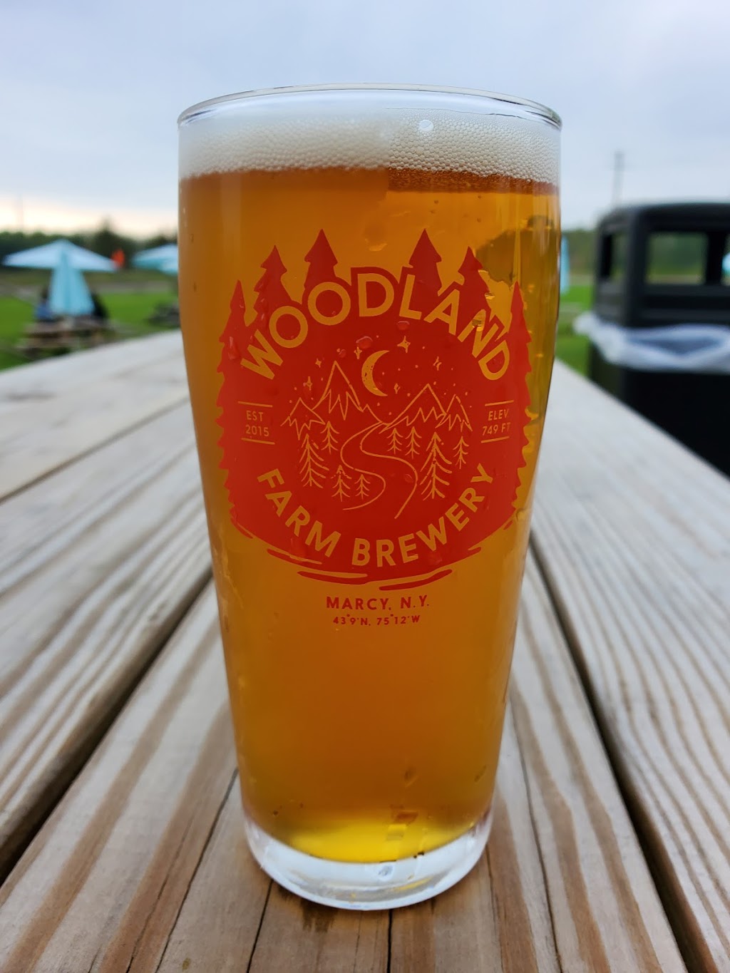 Woodland Farm Brewery | restaurant | 6002 Trenton Rd, Utica, NY 13502, USA | 3158643051 OR +1 315-864-3051