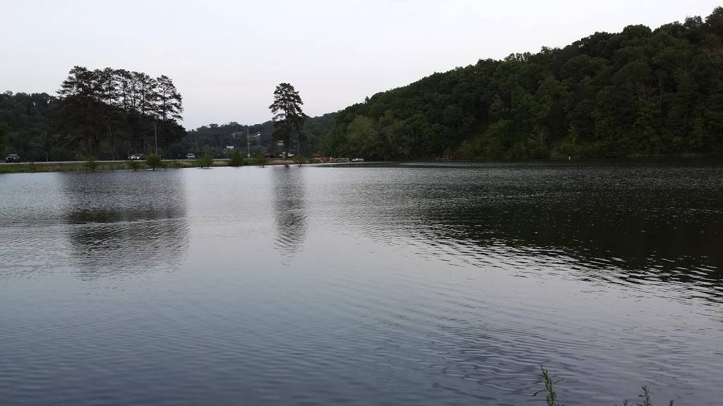 Terrace View Restaurant | restaurant | 3367 Euchee Chapel Rd, Spring City, TN 37381, USA | 4233657021 OR +1 423-365-7021