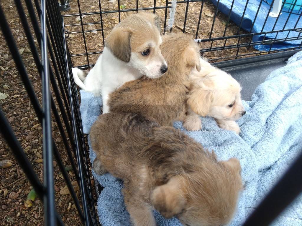 Grey Rock Golf and Tennis | restaurant | 7401 TX-45, Austin, TX 78739, USA | 5122884297 OR +1 512-288-4297