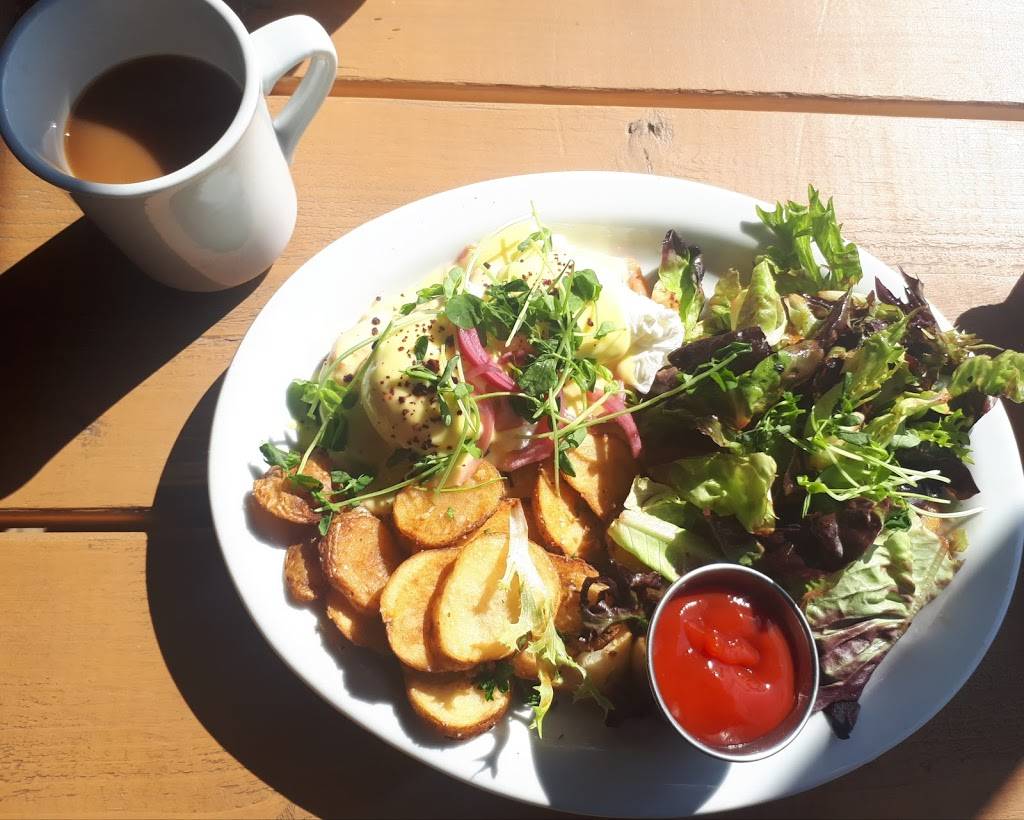 The Cameron | restaurant | 176 Cameron Ave, Ottawa, ON K1S 0X5, Canada | 6137307207 OR +1 613-730-7207