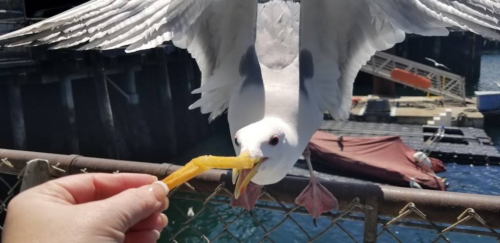 Ivars Seafood Bar | restaurant | 1505 156th Ave NE, Bellevue, WA 98007, USA | 4257476433 OR +1 425-747-6433