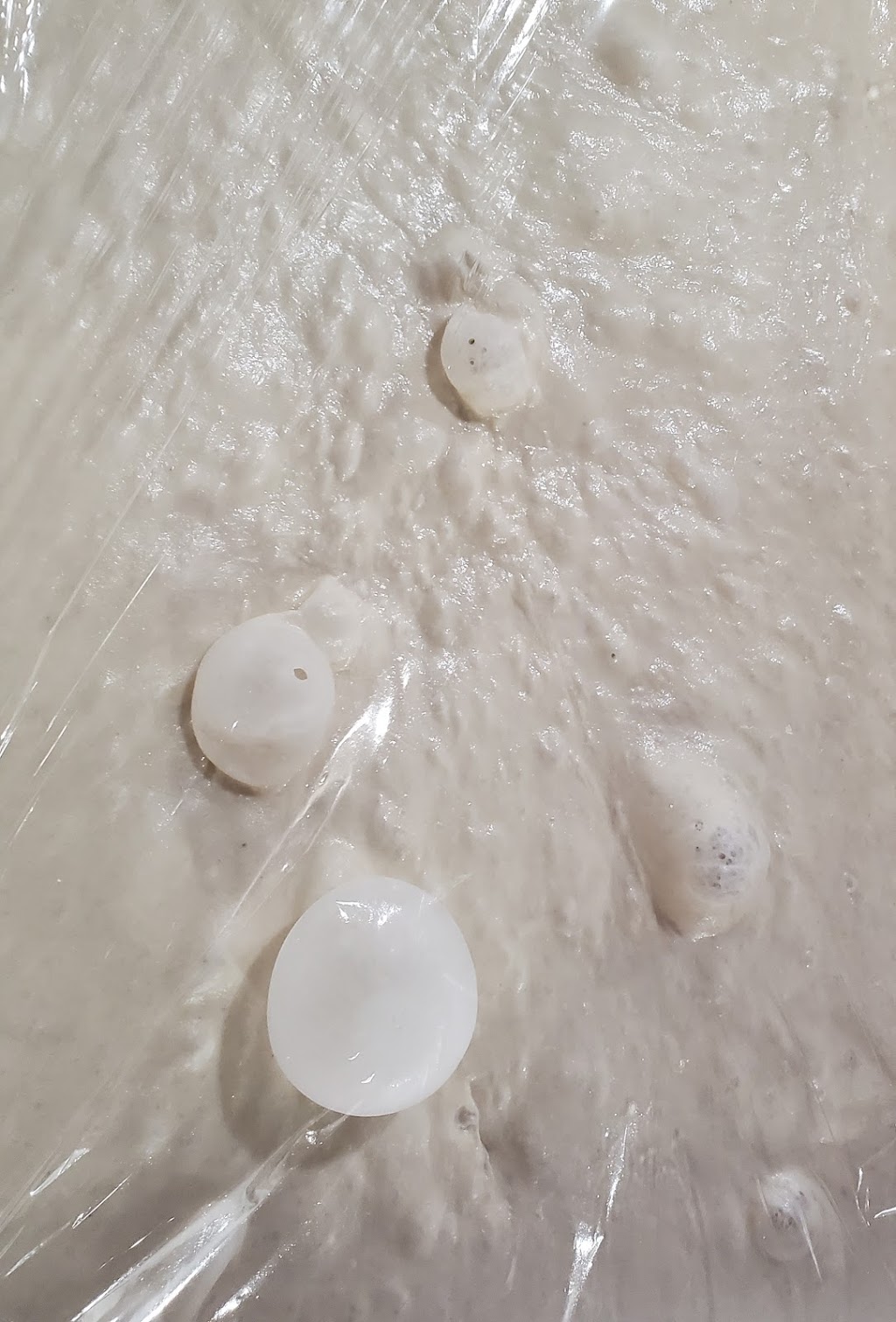 Gommies Pizza | restaurant | 2614 Glenwood Park Ave, Erie, PA 16508, USA | 8148442738 OR +1 814-844-2738