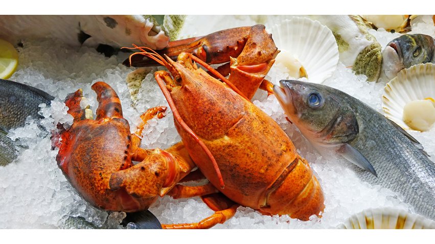 Waterbar San Diego | restaurant | 4325 Ocean Blvd, San Diego, CA 92109, USA | 8588884343 OR +1 858-888-4343