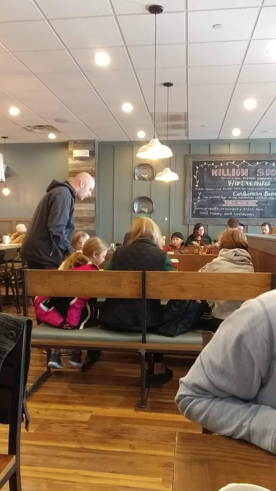 First Watch - Timonium Square | restaurant | 2159 D York Road, Timonium, MD 21093, USA | 4103083447 OR +1 410-308-3447