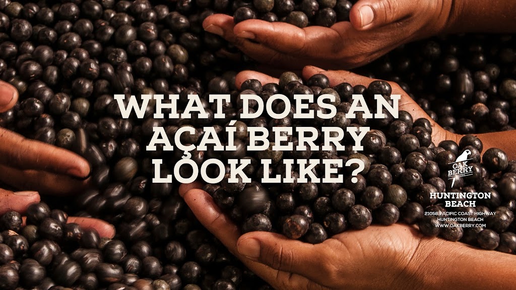 Oakberry Acai Bowls & Smoothies | Huntington Beach | restaurant | 21058 CA-1 M150, Huntington Beach, CA 92648, USA | 6575029294 OR +1 657-502-9294