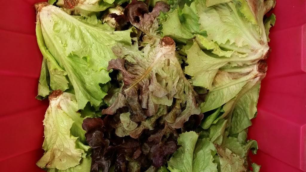 Wholesome Harvest Coop (food store) | restaurant | 30 W Main St, Frostburg, MD 21532, USA | 3016893120 OR +1 301-689-3120