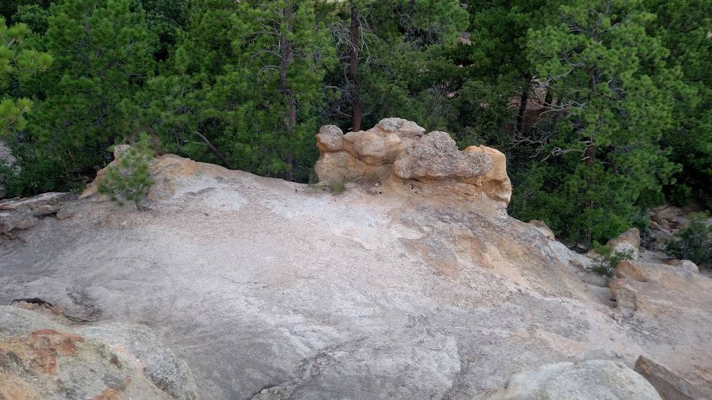 Little Caesars Pizza | meal takeaway | 4535 Austin Bluffs Pkwy, Colorado Springs, CO 80918, USA | 7195915900 OR +1 719-591-5900