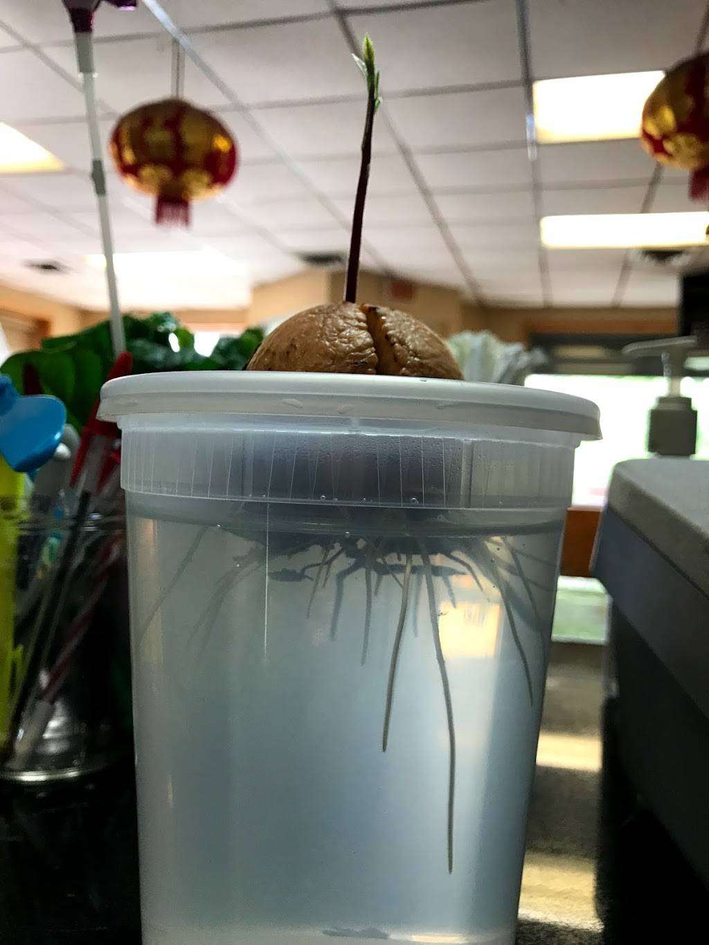 Lams Kitchen | restaurant | 168 Richmond Hill Ave, Stamford, CT 06902, USA | 2033272123 OR +1 203-327-2123