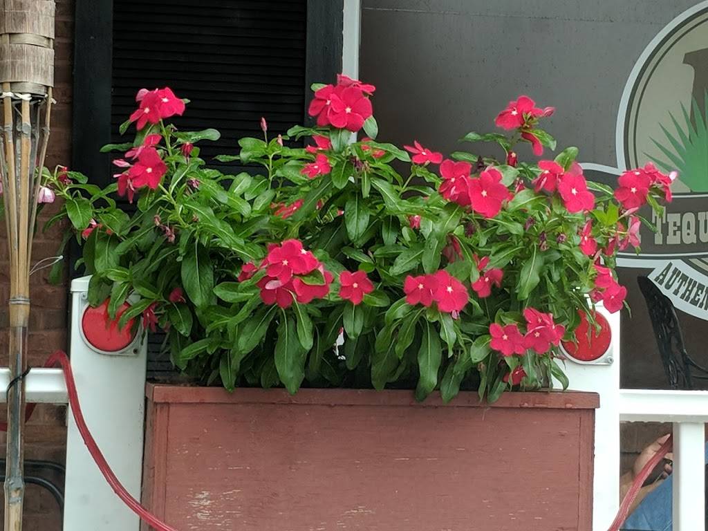 Casa Tequila Bar & Grill | restaurant | 1020 E Main St Ste N, Purcellville, VA 20132, USA | 5404413915 OR +1 540-441-3915