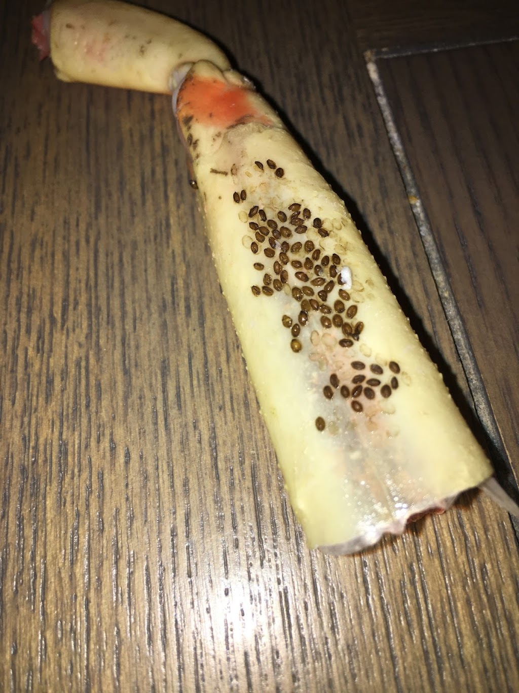 The Yummy Crab | restaurant | 3175 E Tropicana Ave, Las Vegas, NV 89121, USA | 7024447770 OR +1 702-444-7770