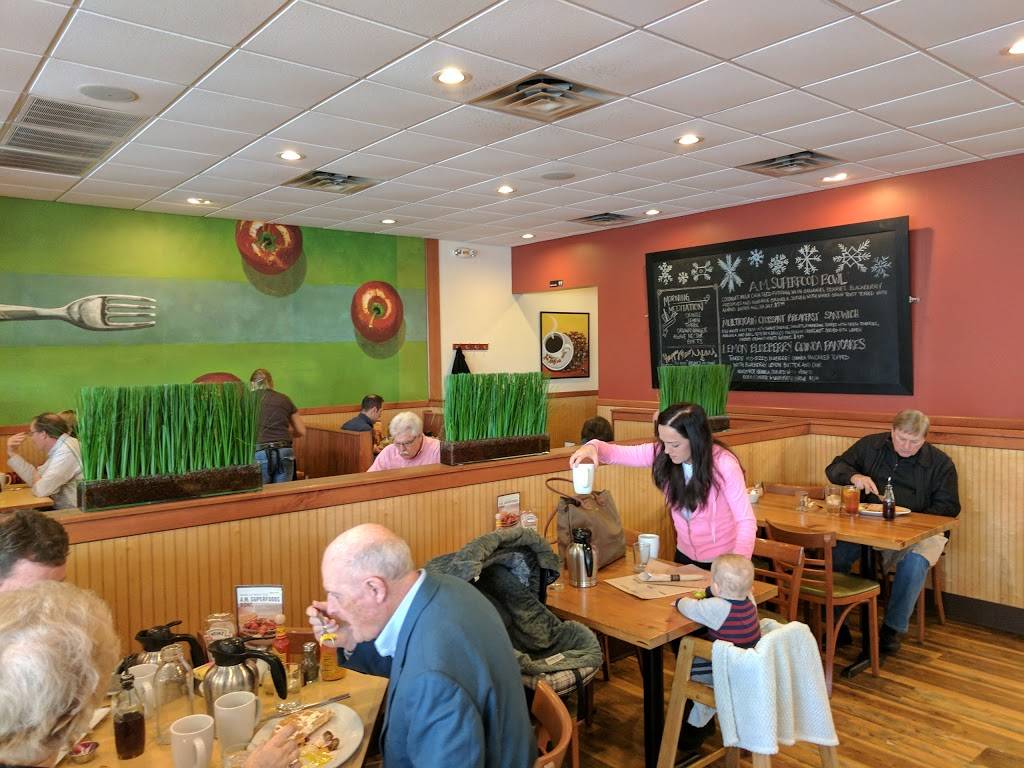 First Watch - Anderson | restaurant | 7625 Beechmont Ave, Cincinnati, OH 45255, USA | 5132314620 OR +1 513-231-4620