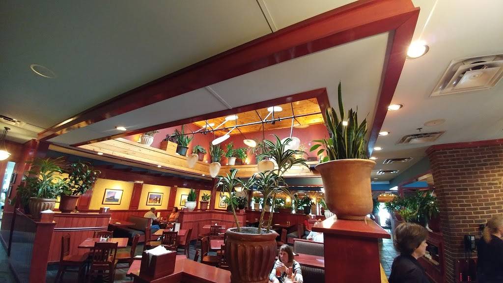 Cheddars Scratch Kitchen | restaurant | 1385 Veterans Pkwy, Clarksville, IN 47129, USA | 8122809660 OR +1 812-280-9660